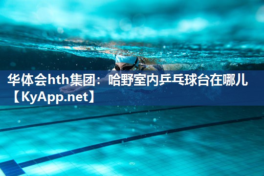 华体会hth集团：哈野室内乒乓球台在哪儿