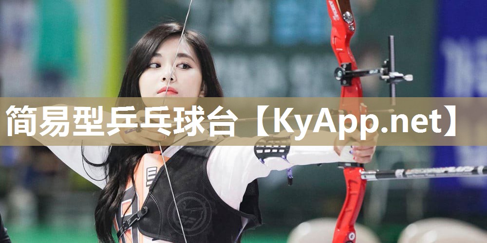 简易型乒乓球台