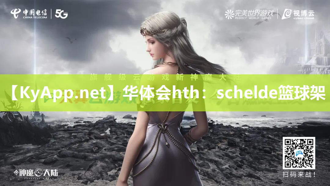 华体会hth：schelde篮球架