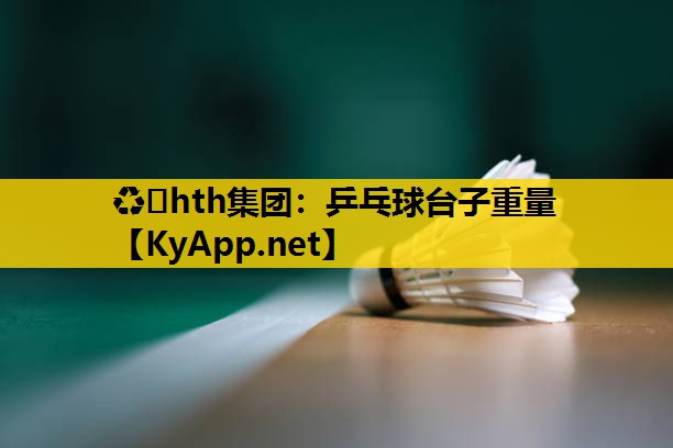 乒乓球台子重量