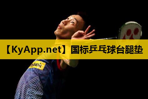 国标乒乓球台腿垫 国标乒乓球台腿垫