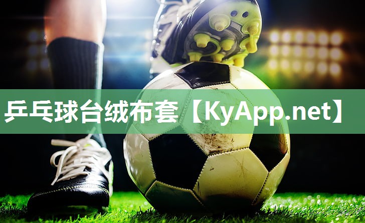 乒乓球台绒布套 乒乓球台绒布套