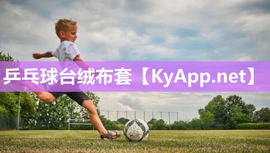 乒乓球台绒布套 乒乓球台绒布套