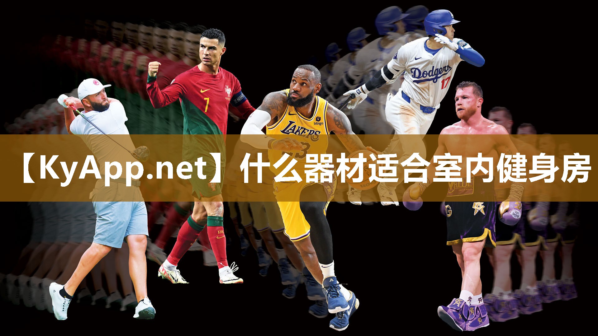 什么器材适合室内健身房 什么器材适合室内健身房