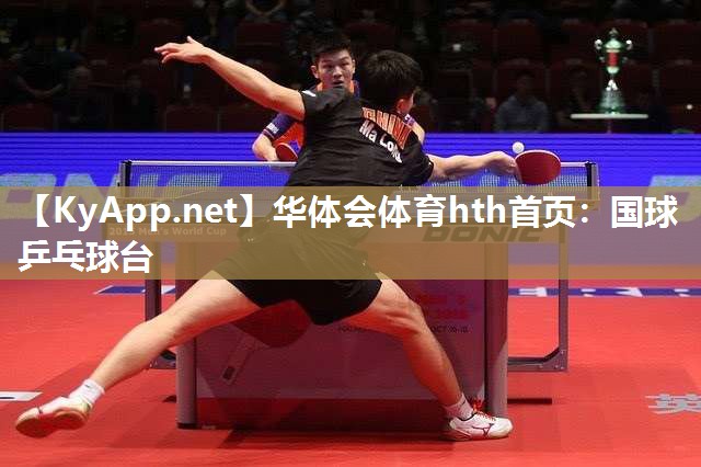 国球乒乓球台 国球乒乓球台
