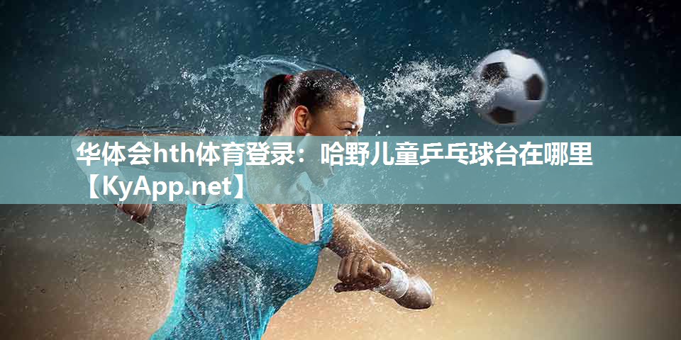 哈野儿童乒乓球台在哪里 哈野儿童乒乓球台在哪里