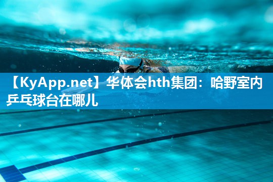 哈野室内乒乓球台在哪儿 哈野室内乒乓球台在哪儿