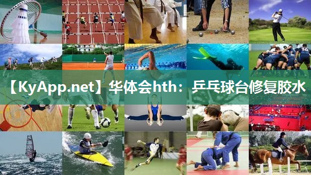 乒乓球台修复胶水 乒乓球台修复胶水