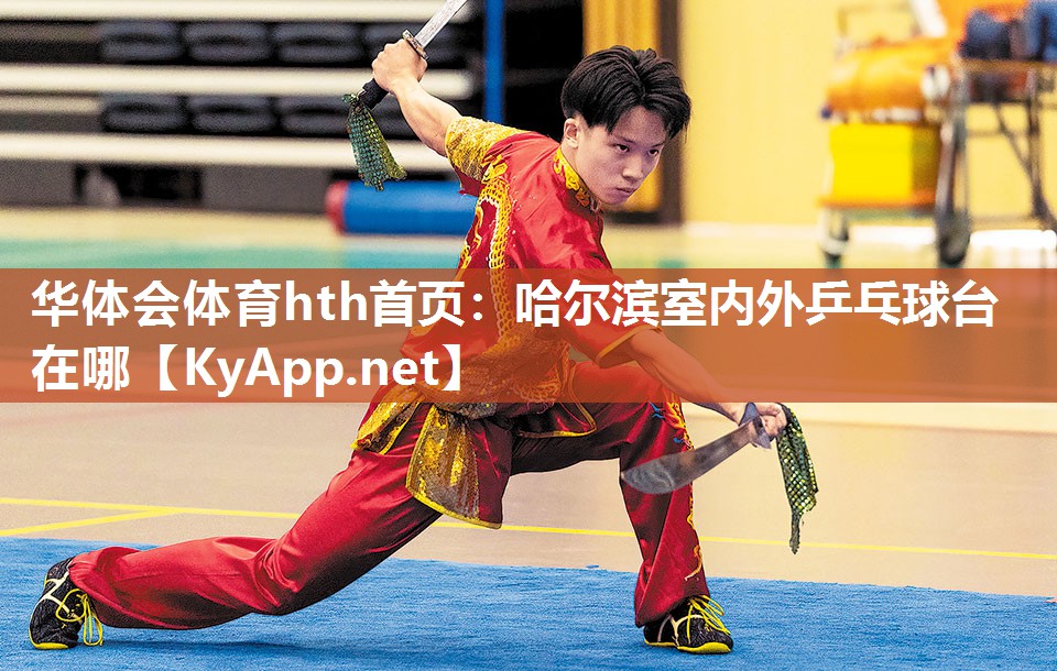 哈尔滨室内外乒乓球台在哪 哈尔滨室内外乒乓球台在哪