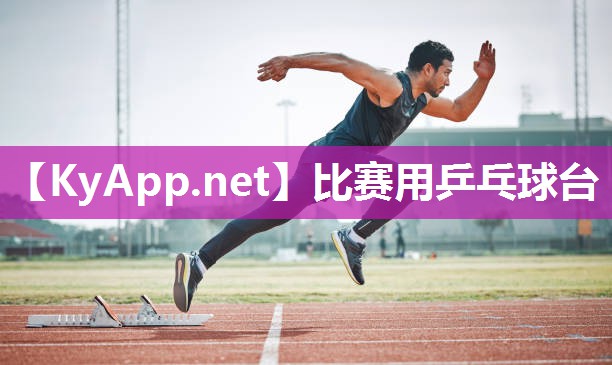 比赛用乒乓球台 比赛用乒乓球台