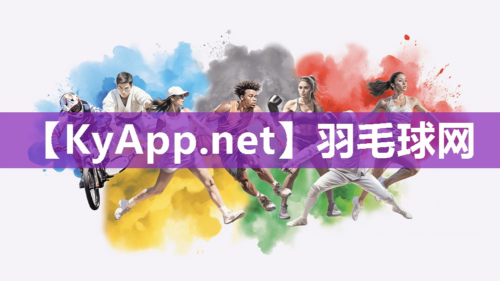 羽毛球网 羽毛球网